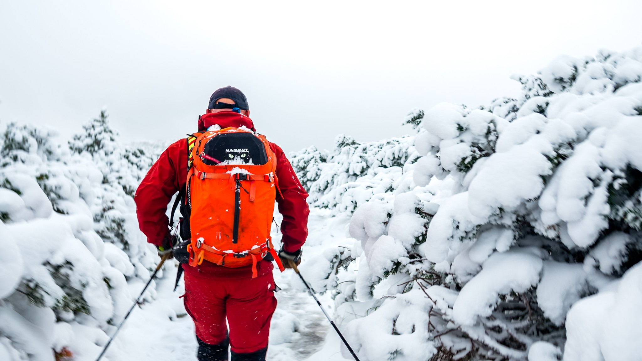 kynologicka rallye memorial stefana zavackeho 